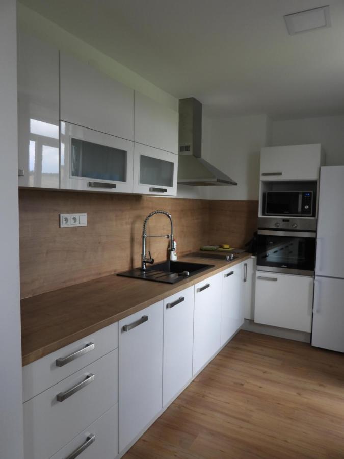 Apartman U Kunstatskeho Mlyna Orlicke Zahori Exterior photo