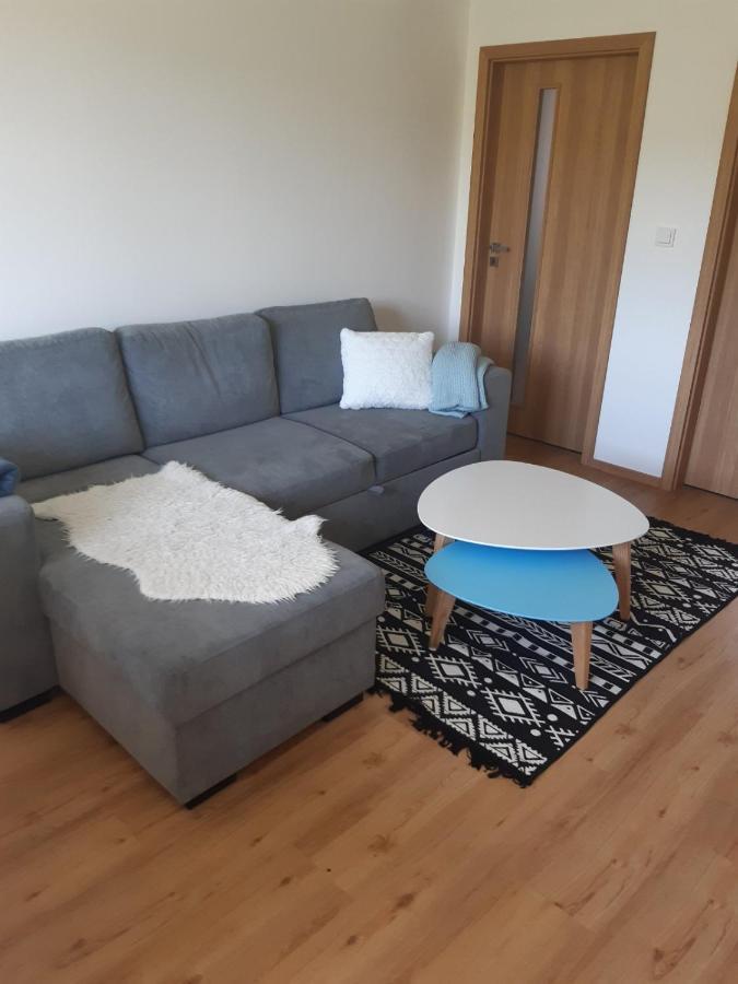 Apartman U Kunstatskeho Mlyna Orlicke Zahori Exterior photo