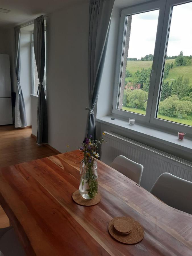 Apartman U Kunstatskeho Mlyna Orlicke Zahori Exterior photo